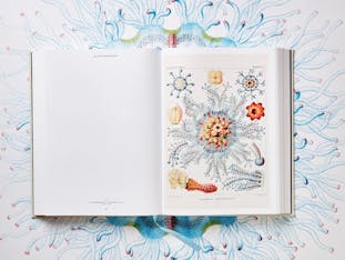 【お取り寄せ】The Art and Science of Ernst Haeckel